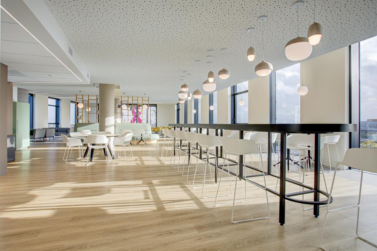 Bureau Lille 2381m² Location bureau Lille Nord OLBUR2424407 9